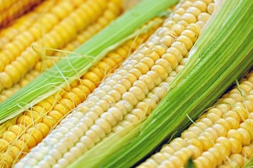 corn