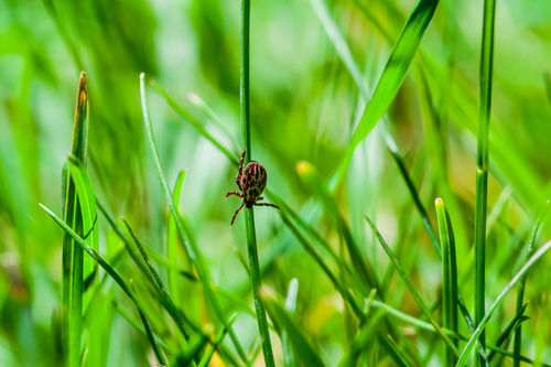 ichodem podzimu shutterstock