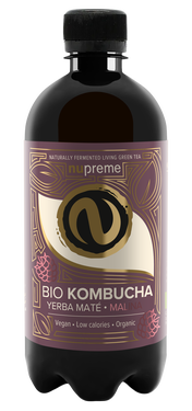 kombucha malina render