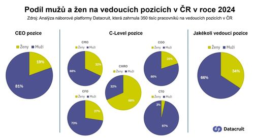 Datacruit Diverzita 